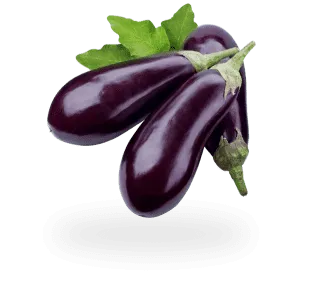 Eggplant