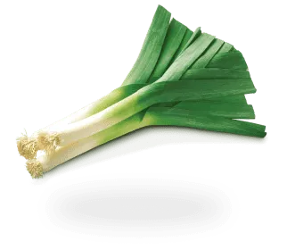 Leek