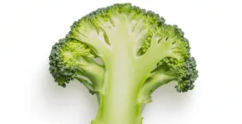 logo-broccoli-photo