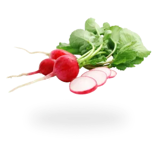 radish