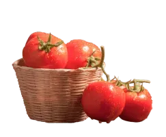 Tomato in basket